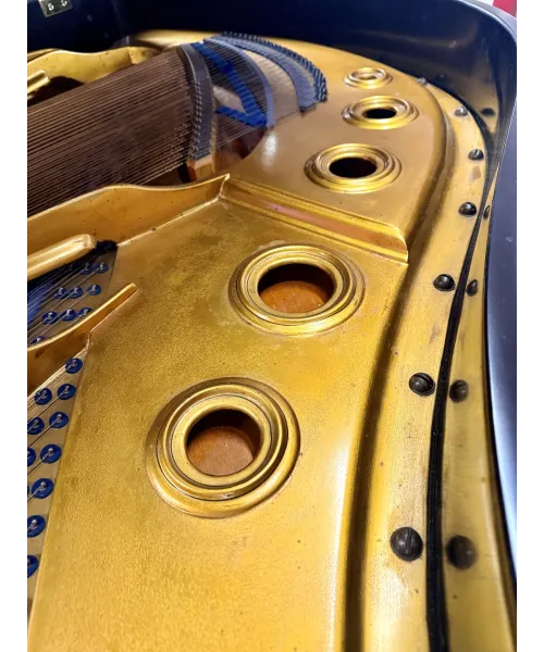 Piano Half tail Blutner black satin