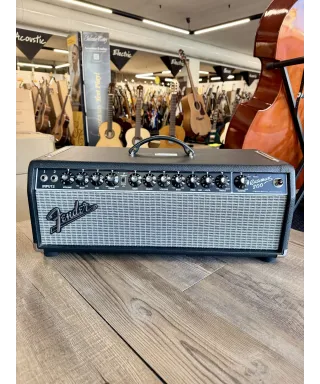 fender-bassman-800-head-cover