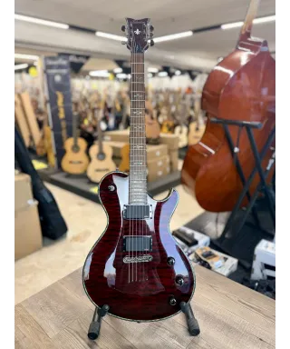 schecter-other-only-6