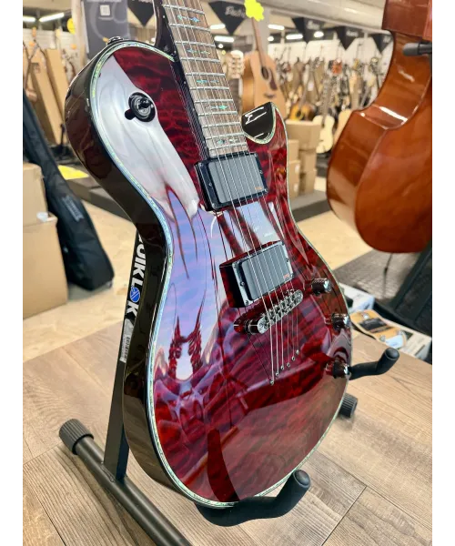 schecter-other-only-6