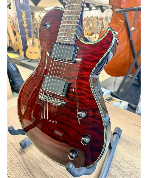 schecter-other-only-6