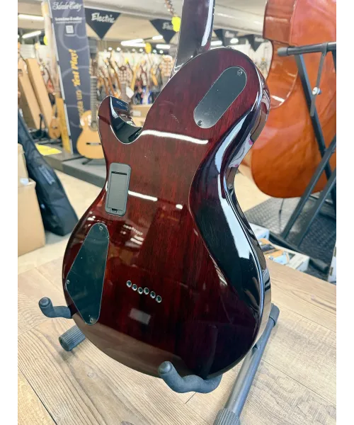 schecter-other-only-6