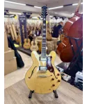 epiphone-by-gibson-sheraton-mik-custodia