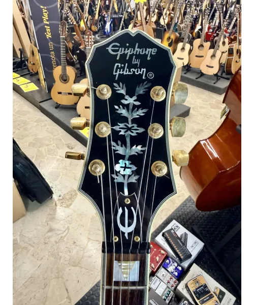 epiphone-by-gibson-sheraton-mik-custodia