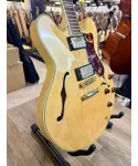 epiphone-by-gibson-sheraton-mik-custodia