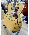epiphone-by-gibson-sheraton-mik-custodia