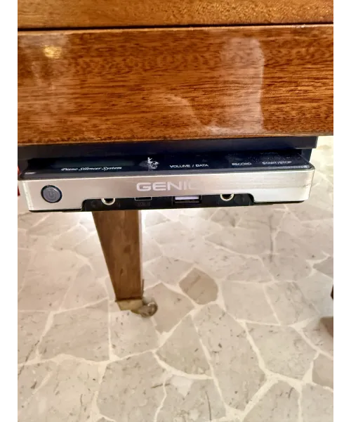 Half-tail piano c. Bechstein mod. l Rosewood + Silent