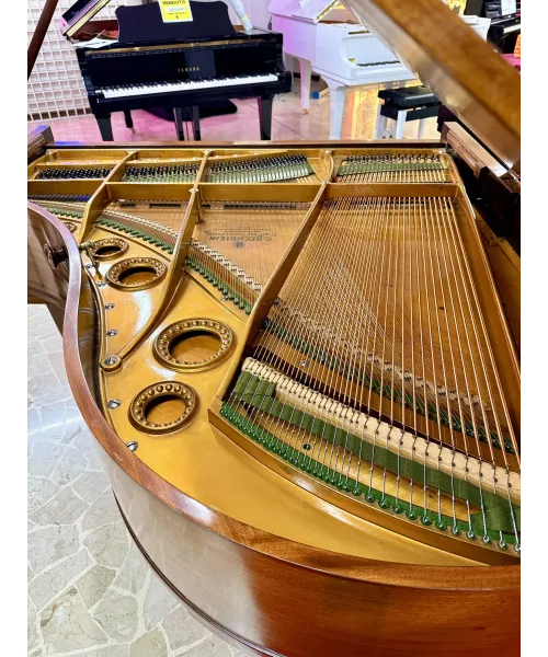 Half-tail piano c. Bechstein mod. l Rosewood + Silent