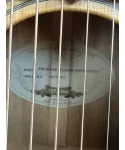 maton-ebg808te-tommy-emmanuel