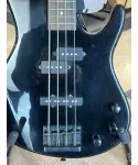 Ibanez-trb100-black-custody