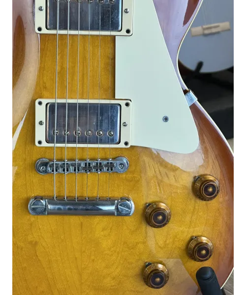 Tokai-LPS-love-rock-Japan-custody