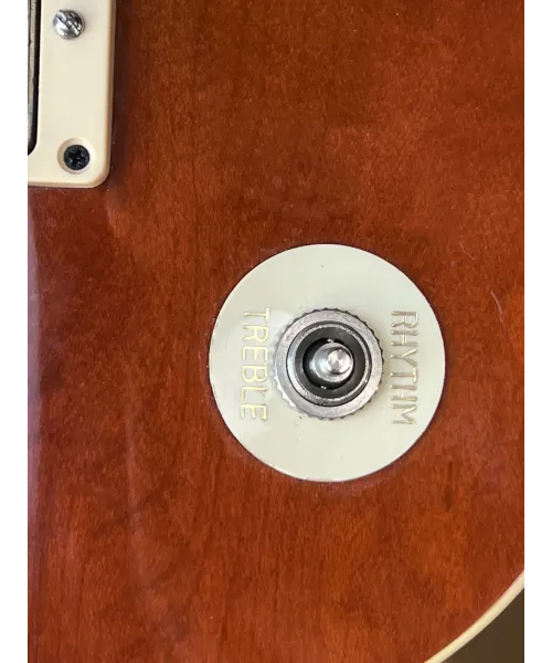 Tokai-LPS-love-rock-Japan-custody