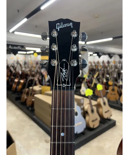 gibson-j-45-slash-custodia