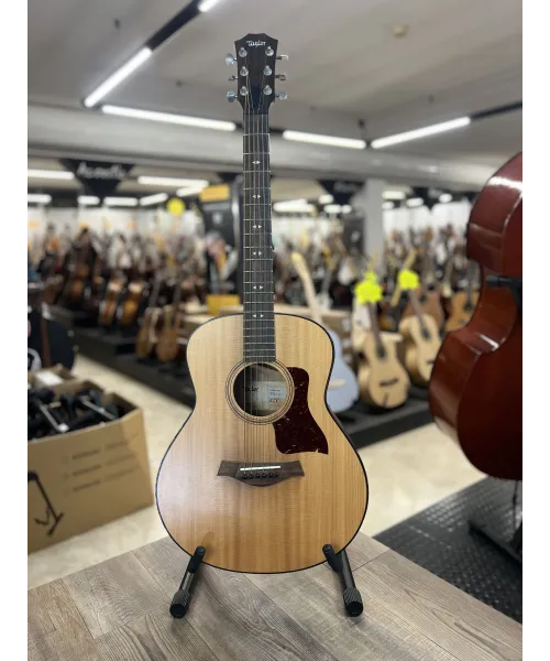 taylor-gt-urban-ash-borsa-