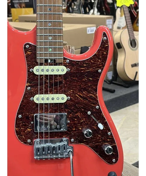 Schecter-r66-custom-traditional-Santa-Fe-custody