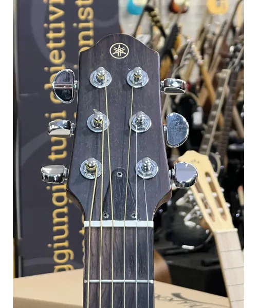 YAMAHA Slg110s no bag