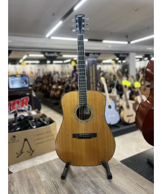 larrivee-mod-lv05-custodia