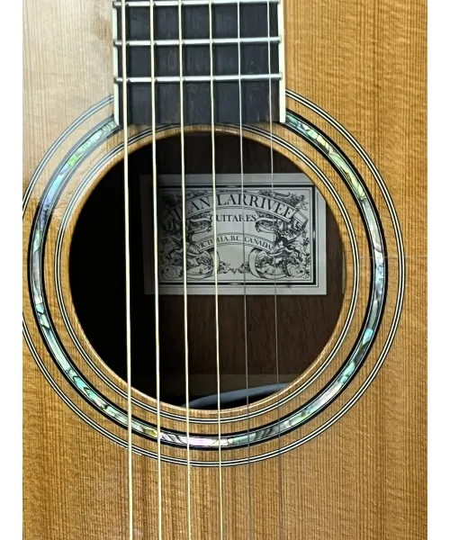 larrivee-mod-lv05-custodia