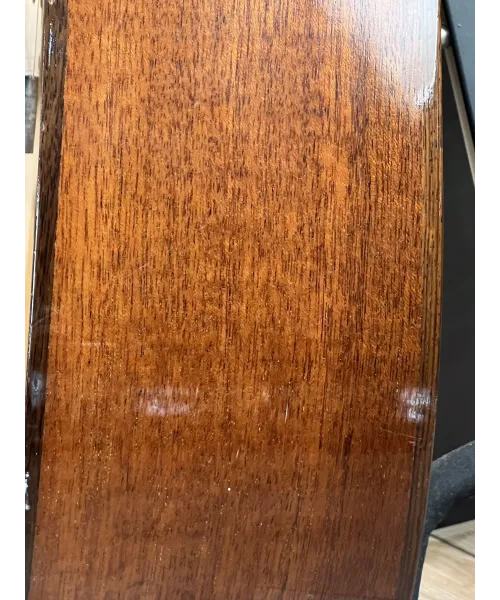 larrivee-mod-lv05-custodia