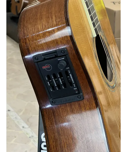 larrivee-mod-lv05-custodia