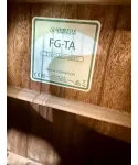 yamaha-fg-ta-transacoustic