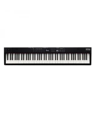 Roland RD-08 Stage  Piano Digitale per Live | Piazzo Strumenti
