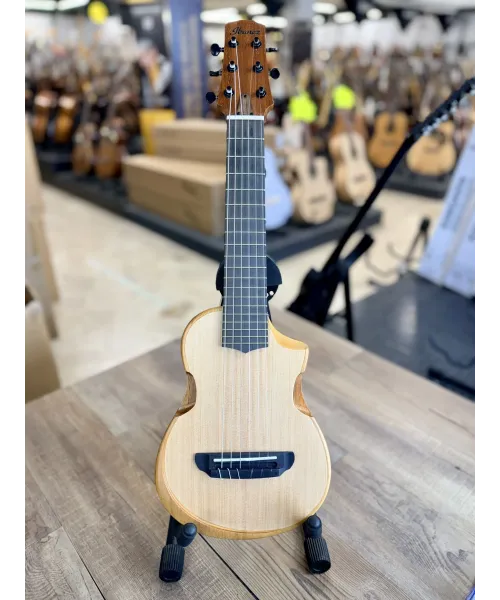 Ibanez-aup10n-OPN-bag