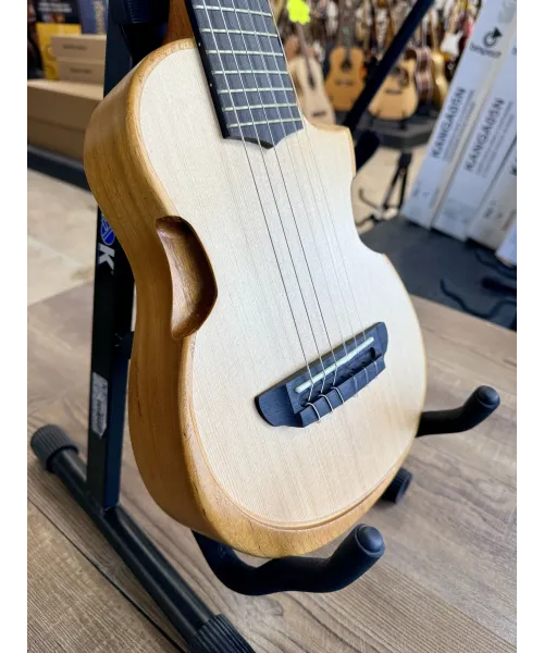 Ibanez-aup10n-OPN-bag