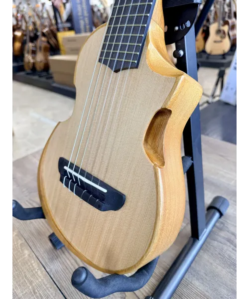 Ibanez-aup10n-OPN-bag