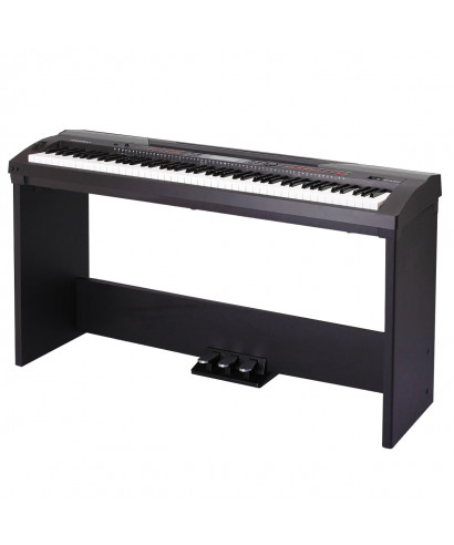 Digital Plan Medeli SP4200 Hammer Action