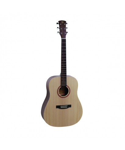 Soundsation Grand Teton acoustic guitar-dn-NT Dreadnought