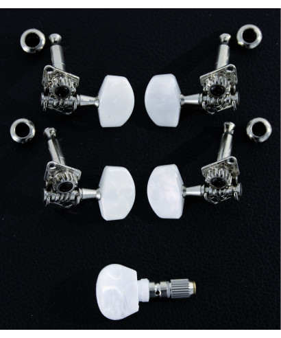 Banjo mechanics SOUNDSATION JBJ900 (set)