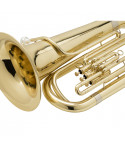 Tuba Sondsation in Sib Gold