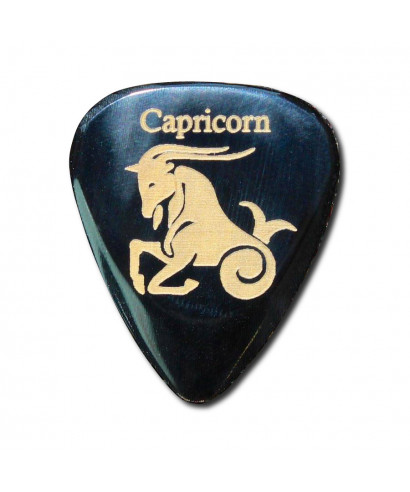 Plectrum TIMBERTONES Zodiac Capricorn