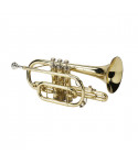 Cornetta Soundsation Scorpe-10e gold