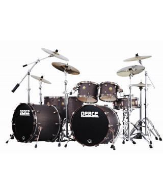 Peace battery DP-22DNAC2 Old Copper HW 310 Hieroglyphics