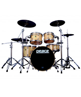 Peace Paragon DP battery-22pg-4-C1 201 Natural