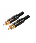 Pack 26 RCA Yongsheng by connectors NEUTRIK Ys373-Bg