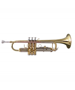 Trumpet Ins Sib Soundsation STPGD-10