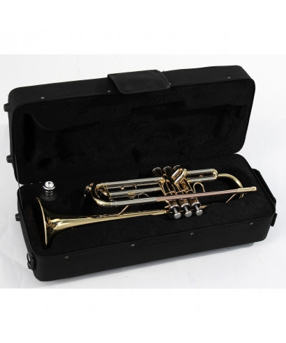 Tromba ins sib soundsation stpgd-10