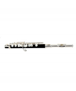 Flute Small Soundsation SFP-10 Silver Black