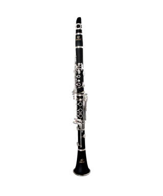 Soundsation SCL clarinet-18 in Sib