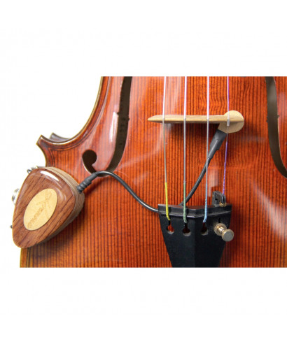 VV transducer-1 KNA Violin E Violet
