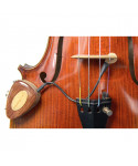 VV transducer-1 KNA Violin E Violet