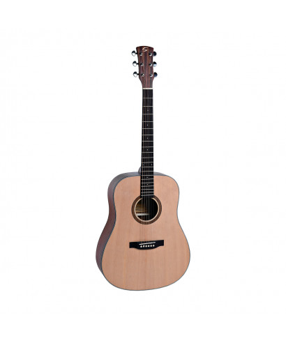 Soundsation Olympic acoustic guitar-dn-NT Dreadnought