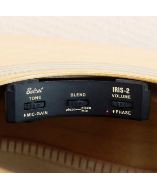Preamp to the hole BELCAT Iris-2