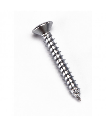 Pack of 50 chrome screws 3x20 for attachment T2C / T3C