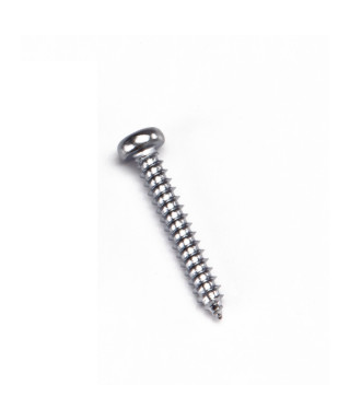 Pack of 50 chrome screws 3.5x25 for Low Bridge Elet BB100