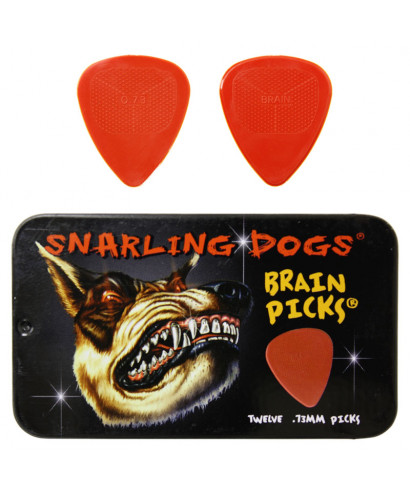 TIN BOX 12 PLETTRI D'ANDREA Brain picks tnsdb351 .73