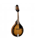 BMA Bluegrass Soundsation Mandolin-60